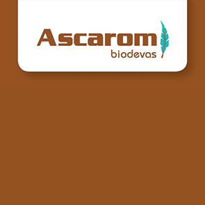 Ascarom