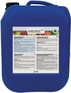MINERBAC
